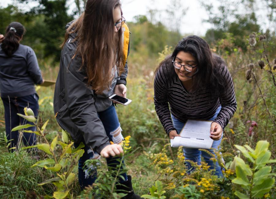 two students examine a plant outdoors