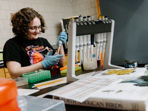 A college student works in a lab with DNA sequencing.